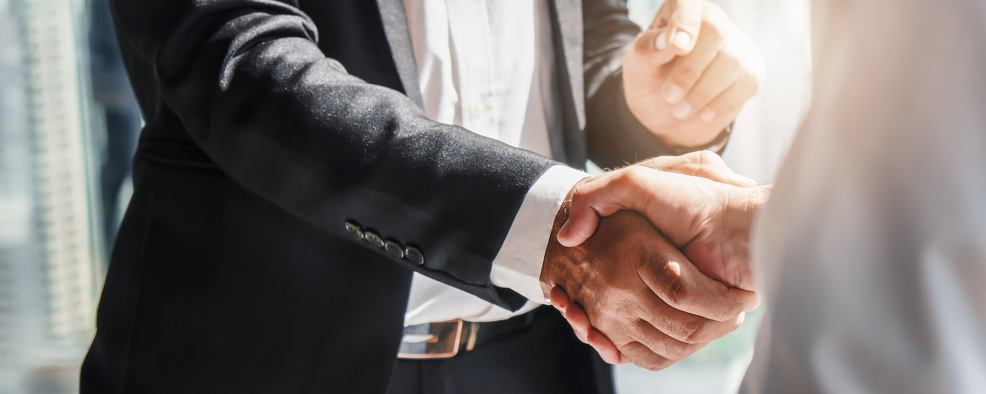 zwei schüttelnde Hände